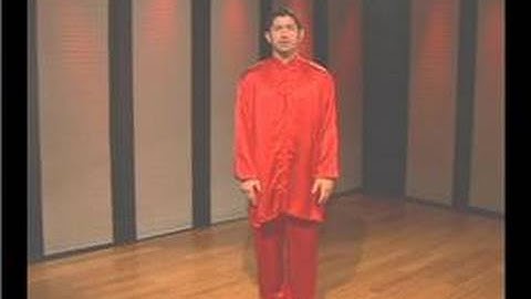 Kung Fu : Tan Tui Demo