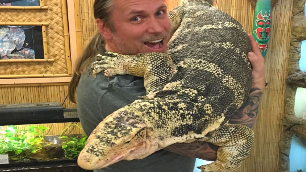 biggest pet lizard you can own
