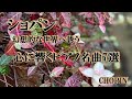 ショパン 心に響く名曲7選