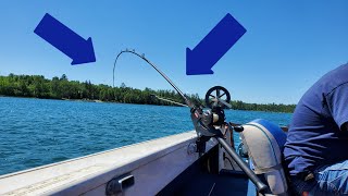 Trolling Downriggers for Big Rainbow Trout (Insane Action)