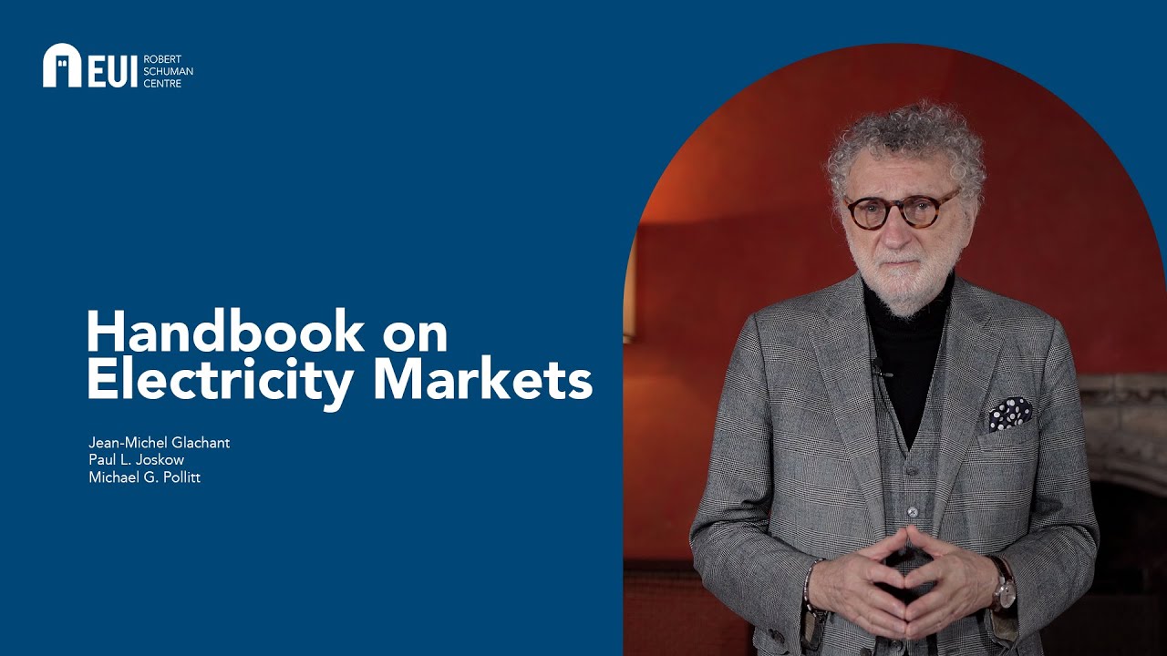 Schuman Shelf #11 - Handbook on electricity markets