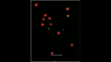 New Avee Player Template Download Link | Avee Player Template Download | avee player template |