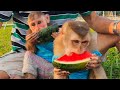 Sam boy enjoying watermelon in the park