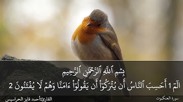 الصفحة 396 سورة القصص والعنكبوت بصوت القارئ المهندس أحمد فايز الحراسيس