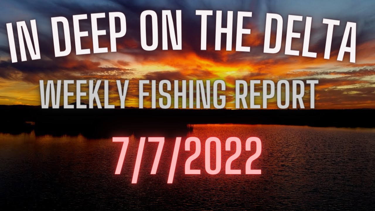The In Deep on the Delta Weekly Delta Fishing Report for 7/7/2022.