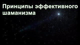 Из ниоткуда в никогда. Часть 27. Принципы эффективного шаманизма. Дмитрий Гаун.