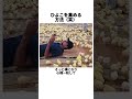 ひよこを集める方法（笑）