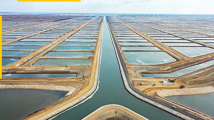 How this mega-project will make Egypt the continent's largest fish producer - DayDayNews