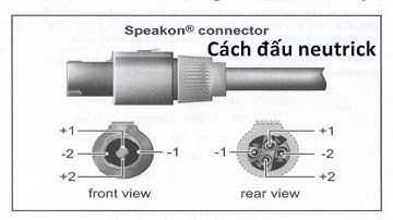Tại Sao Rắc Loa Neutrick Lại Có 4 Đường, Cách Đấu Chuẩn Không Bị Nhầm