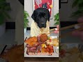 #HowGreedyAreLabradors#LabradorFoodDiary#LabradorFoodDailyLife#DailyLifeOfAFoodDog#Definitely