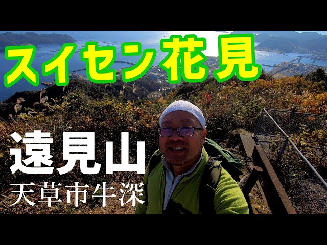 山　遠望 Tonomineyama] Daffodils are in full bloom in January 🌼 [December