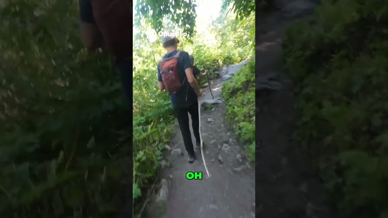 Epic Trail Run  Blisters, Hills, and Devil's Club!