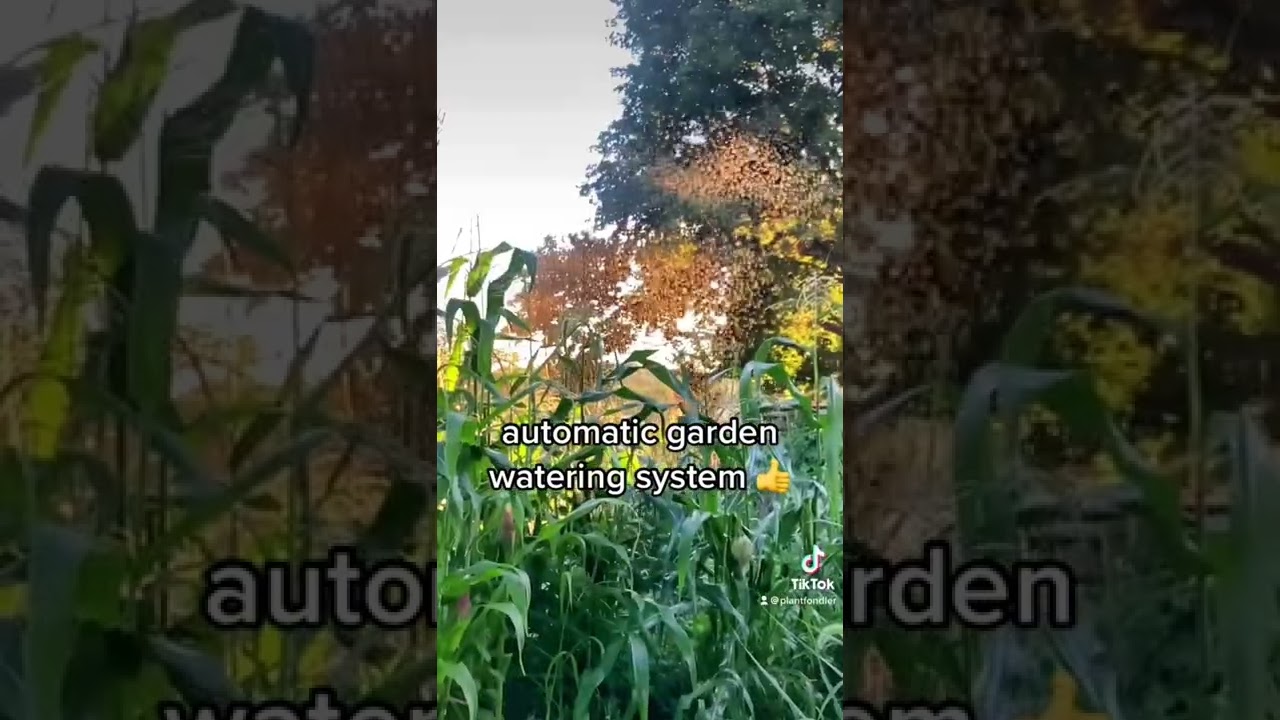 How To Water 4000 Square Foot Garden