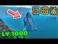 等級1000 巨齒鯊※海底大獵殺《Feed and Grow: Fish》