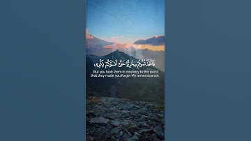 تلاوة عطرة من سورة المؤمنون بصوت القآرئ اسلام صبحي #اسلام_صبحي #قرآن #تلاوة_خاشعة #أذكار #محمد