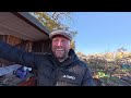 UK Allotment Update | Second Plot Tour (The Good, The Bad & The Ugly) | December