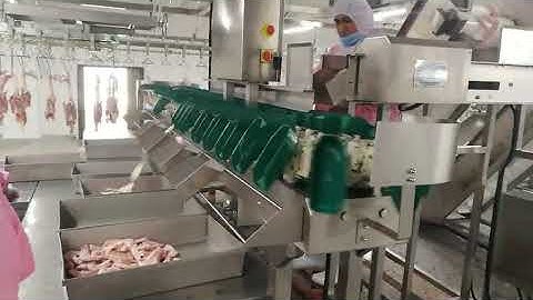 automatic chicken feet /paws weight separating sorting machine