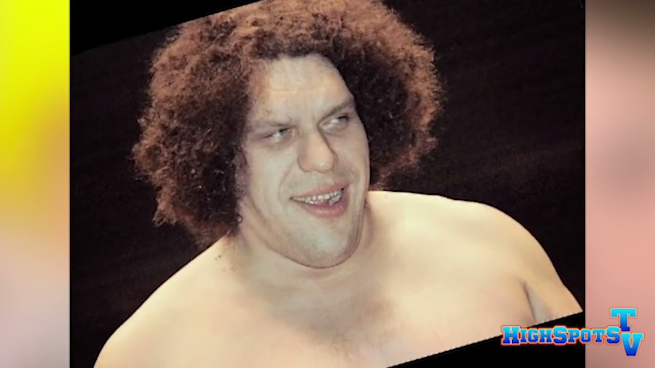 Рик Флэр сравнивает Андре Гиганта и Пола Уайта.