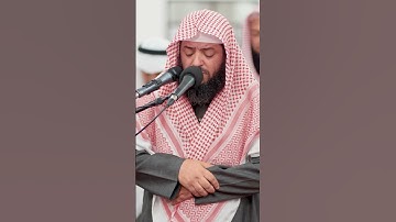 ماتيسر من سورة ق   الشيخ وديع اليمني