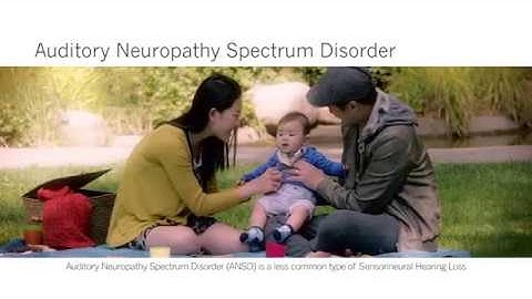 Auditory Neuropathy Spectrum Disorder (English)