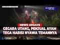 Kesal Utang Rp1,2 Juta Tak Dibayar, Penjual Ayam di Kulon Progo Bunuh Temannya Sendiri