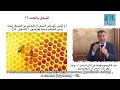 ИСКРА ЧУДА. ПЧЁЛЫ И ЧИСЛО 16. ДОКТОР АЛЬ КАХИЛЬ.
