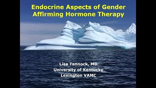 Endocrine Aspects of Gender Affirming Hormone Therapy