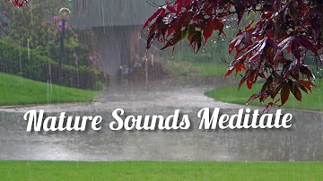 5 Min  Relaxing Flute & Nature Sounds Meditate #meditate #relaxationg #sound #5minute #flute