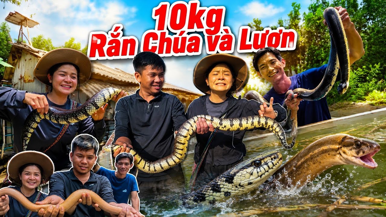 Latest Title & Thumbnail