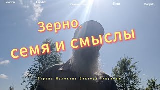 Зерно, семя и смыслы