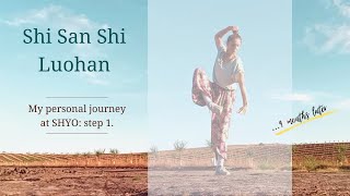 · Shi San Shi Luohan (13 Luohan Postures) · My personal journey at SHYO: step 1 ·