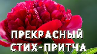 ❤ С добрым вечером! Притча про жемчужину. Мудрость. Христианские стихи. Стих Наталии Лупан.