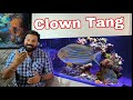Learn how to setup a marine tank with a clown tang fish in hindi