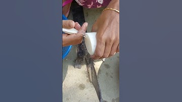 #banana stem cutting#shorts#youtubeshort