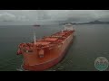 Bulk Carrier - "Bass"
