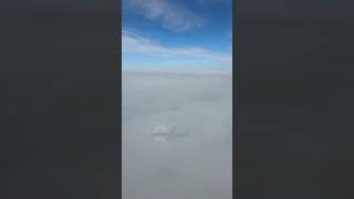 Лечу на пэт в Новосибирск