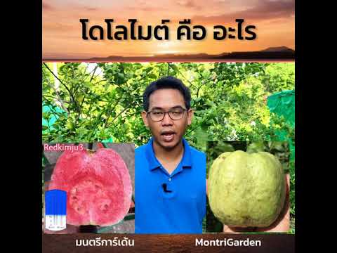 โดโลไมต์คืออะไร