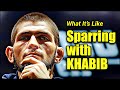 What It's Like Sparring With KHABIB NURMAGOMEDOV - MMA Fighters and Training Partners Speak