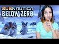 ИДИ СЮДА, СОГРЕЮ ► SUBNAUTICA: BELOW ZERO ► ПРОХОЖДЕНИЕ #1 ► #СИДИМДОМА