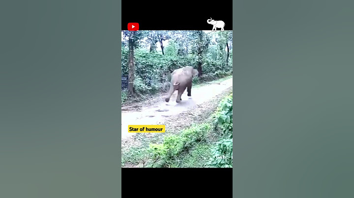 முடியலடா சாமி 🐘🐘🐘 #shortsfeed #subscribe #anmals #elephant #comedy #shortvideo #funnyanimals