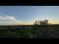 Lion Sands Game Reserve - Lion 🦁 Sands special main sunset view point in Lion Sands Sabi Sands.