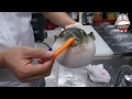 Приколы || Рыба фугу ест морковь||
Сурок кричит || Орущие рыбы