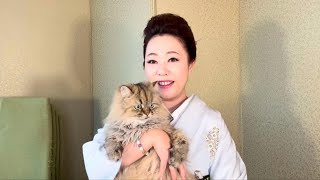 遅れてごめんなさい！