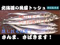 さんまさばき方本編【3枚下ろし・刺身】隠し技の骨切りとは？
