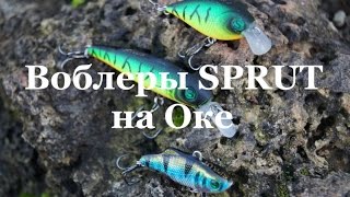 Ультралайтовые воблеры SPRUT на Оке