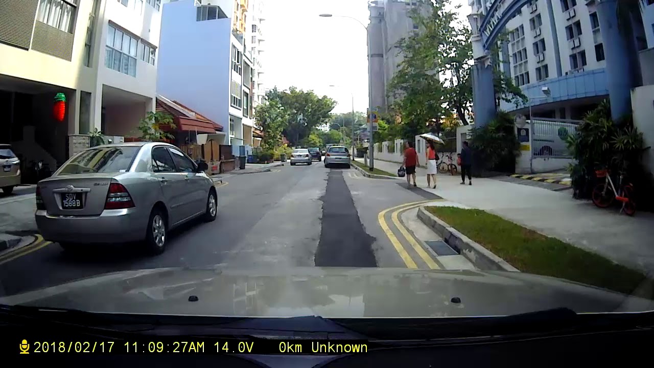 Singapore Reckless Driver SDV1589B