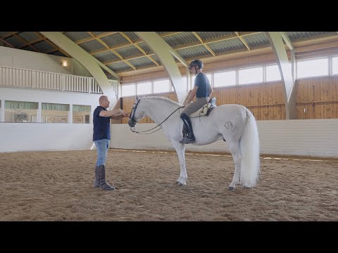 Jesse Tries One Handed Riding: Doing Less, Feeling More!