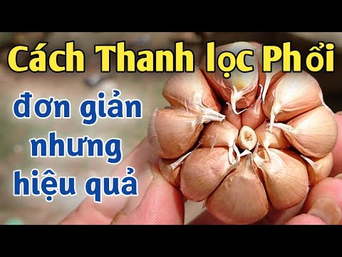 Video Cách thanh lọc phổii cho người hút thuốc lá thuốc... - youtube