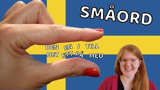 Swedish Småord (i vs på, den vs det and more!)