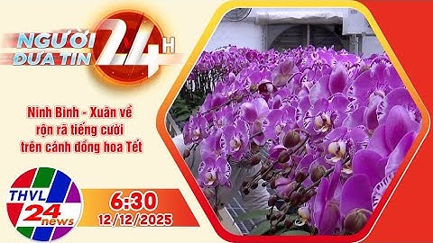 Người đưa tin 24H (6h30 ngày 12/12/2025): Ninh Bình-Xuân về rộn rã tiếng cười trên cánh đồng hoa Tết